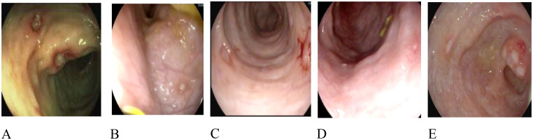 Figure 2