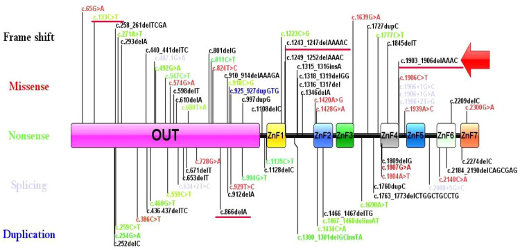 Figure 3