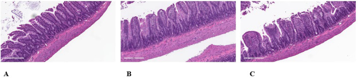 Figure 5