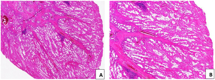 Figure 5