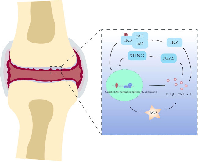Figure 3