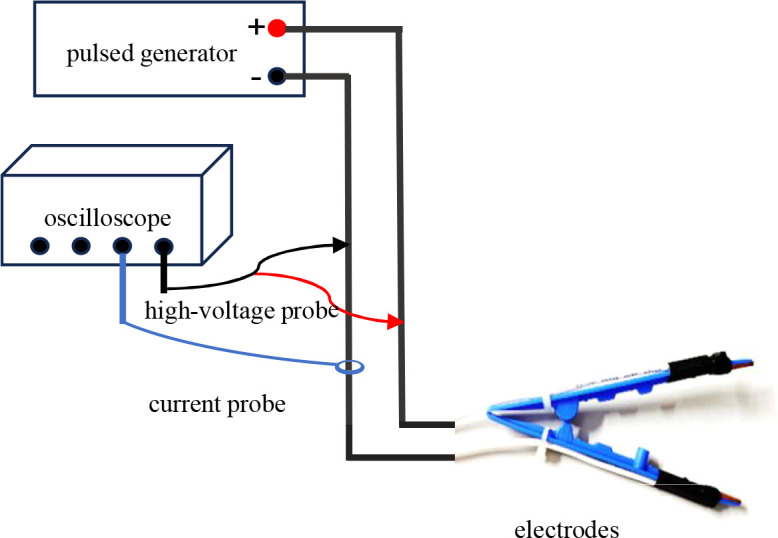 Figure 1