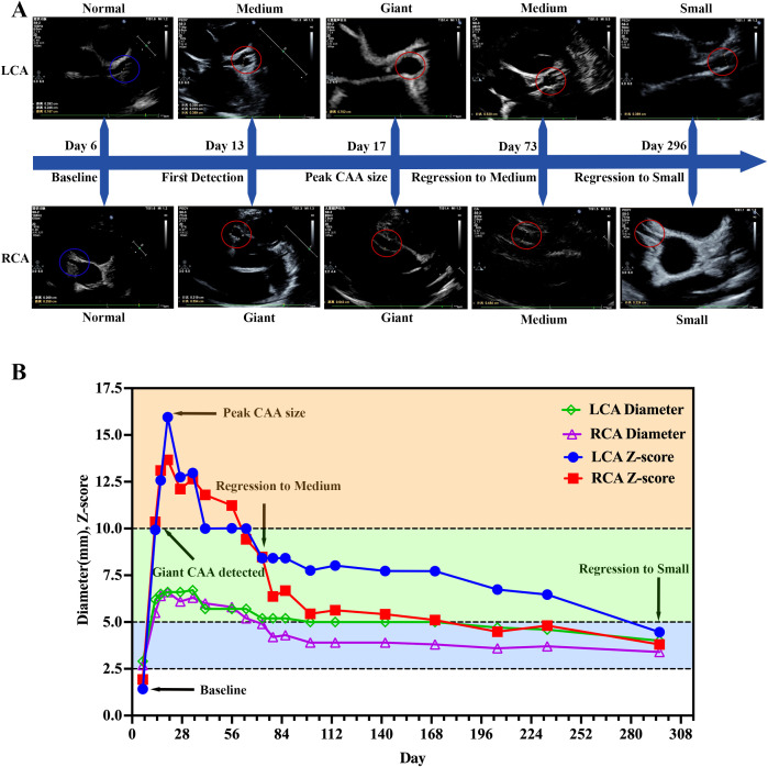 Figure 2
