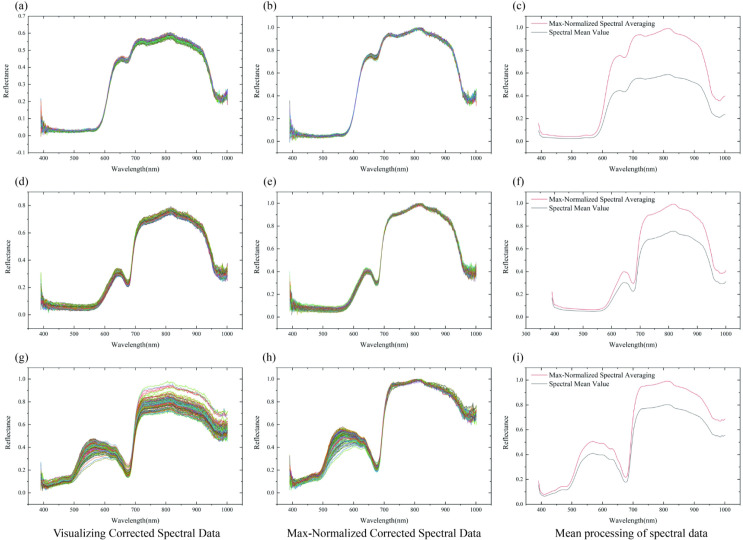 Figure 6