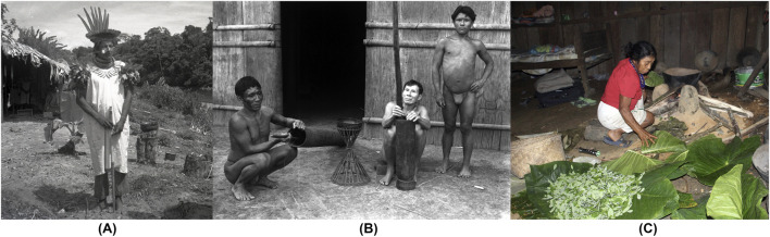 Figure 2