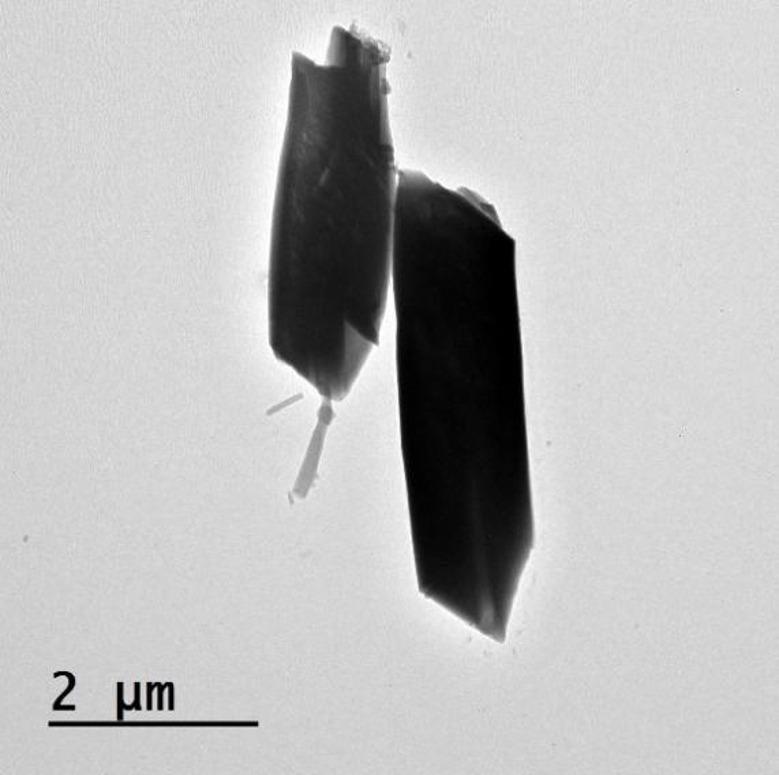 Figure 12