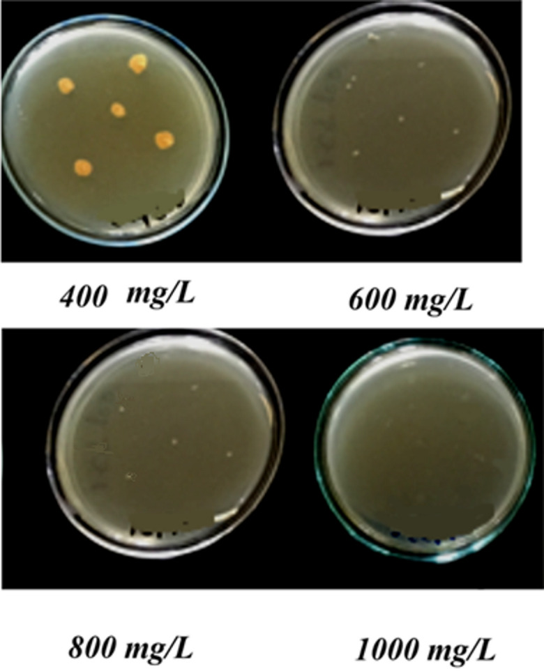 Figure 16