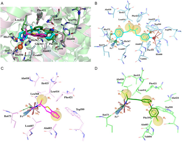 Figure 6
