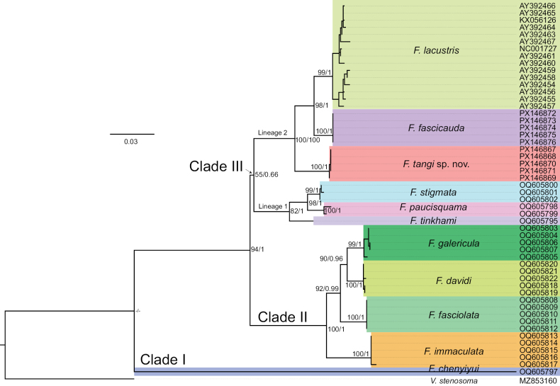 Figure 5