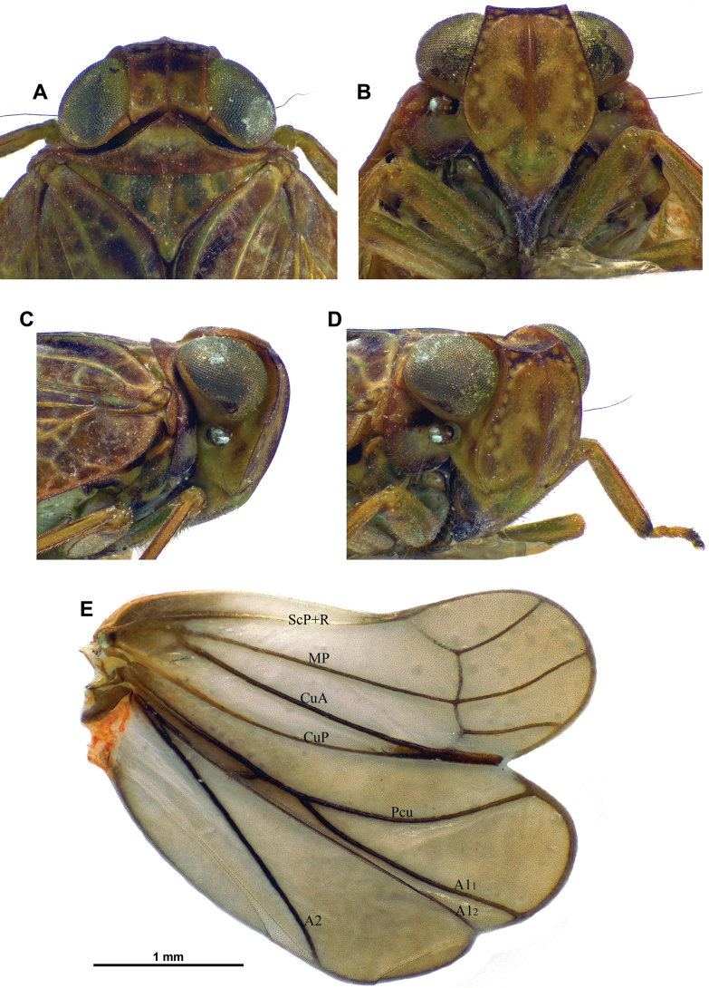 Figure 10