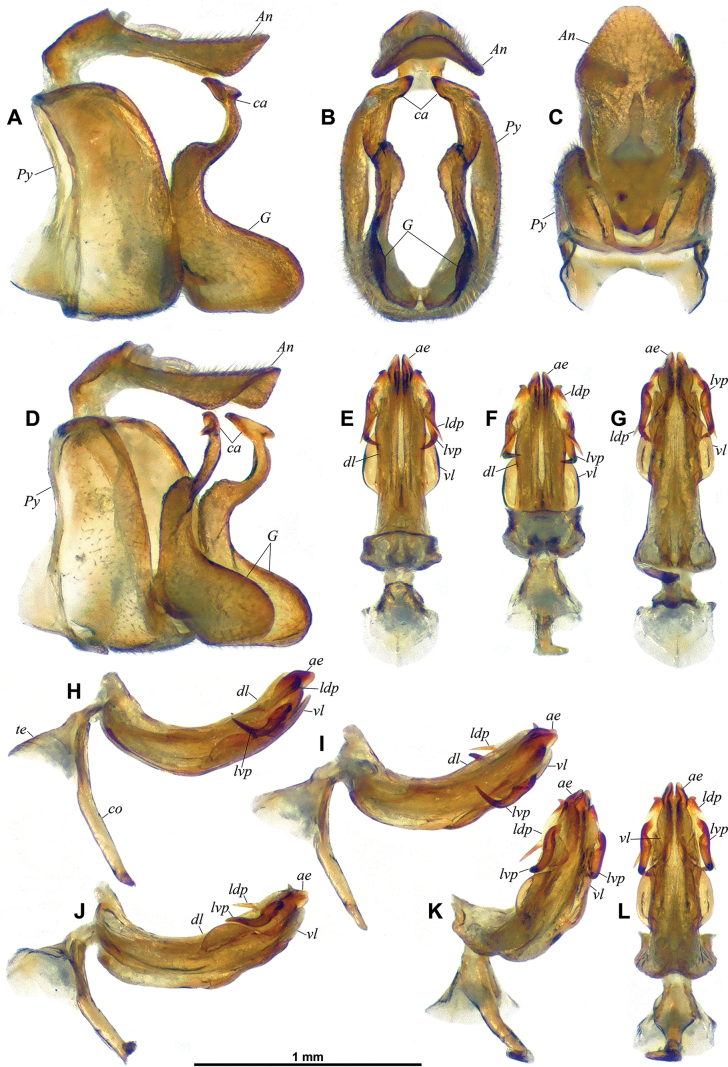 Figure 11