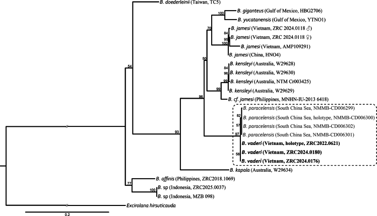Figure 7