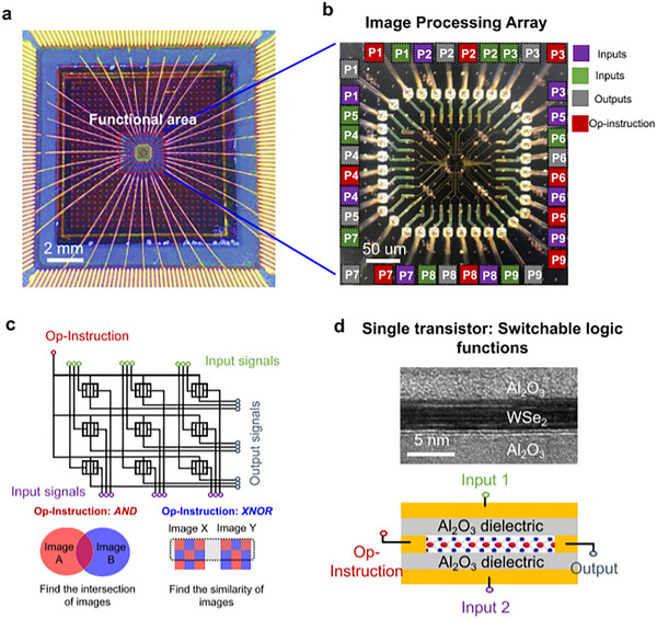 Figure 24