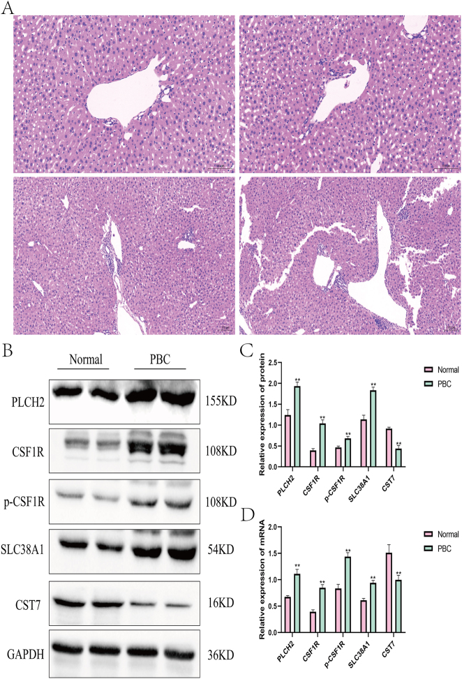 Figure 11
