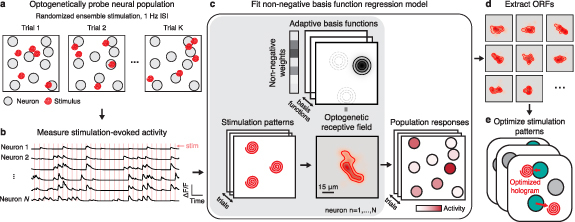 Figure 19