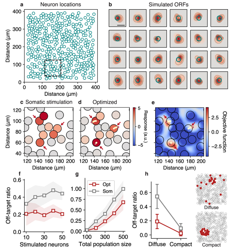 Figure 21