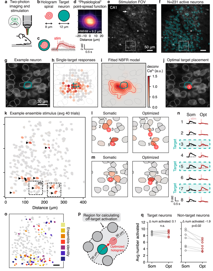 Figure 30