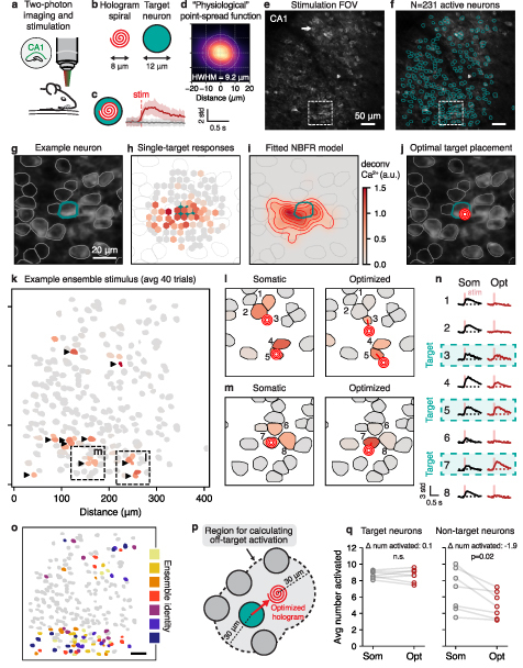 Figure 31