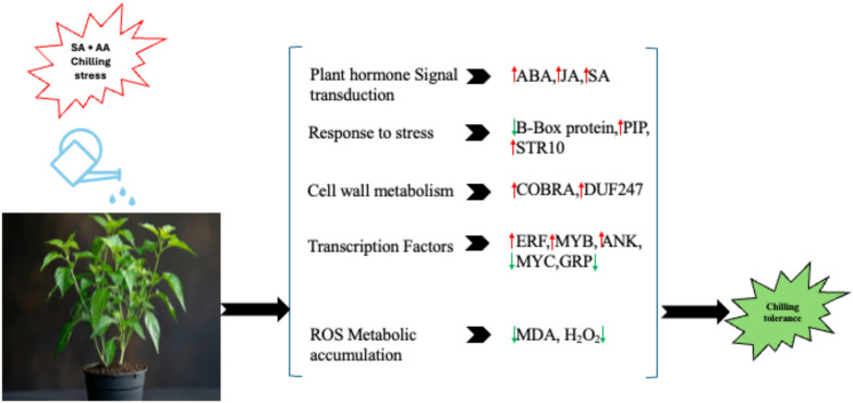 Figure 13