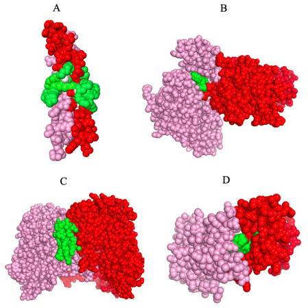 Figure 6