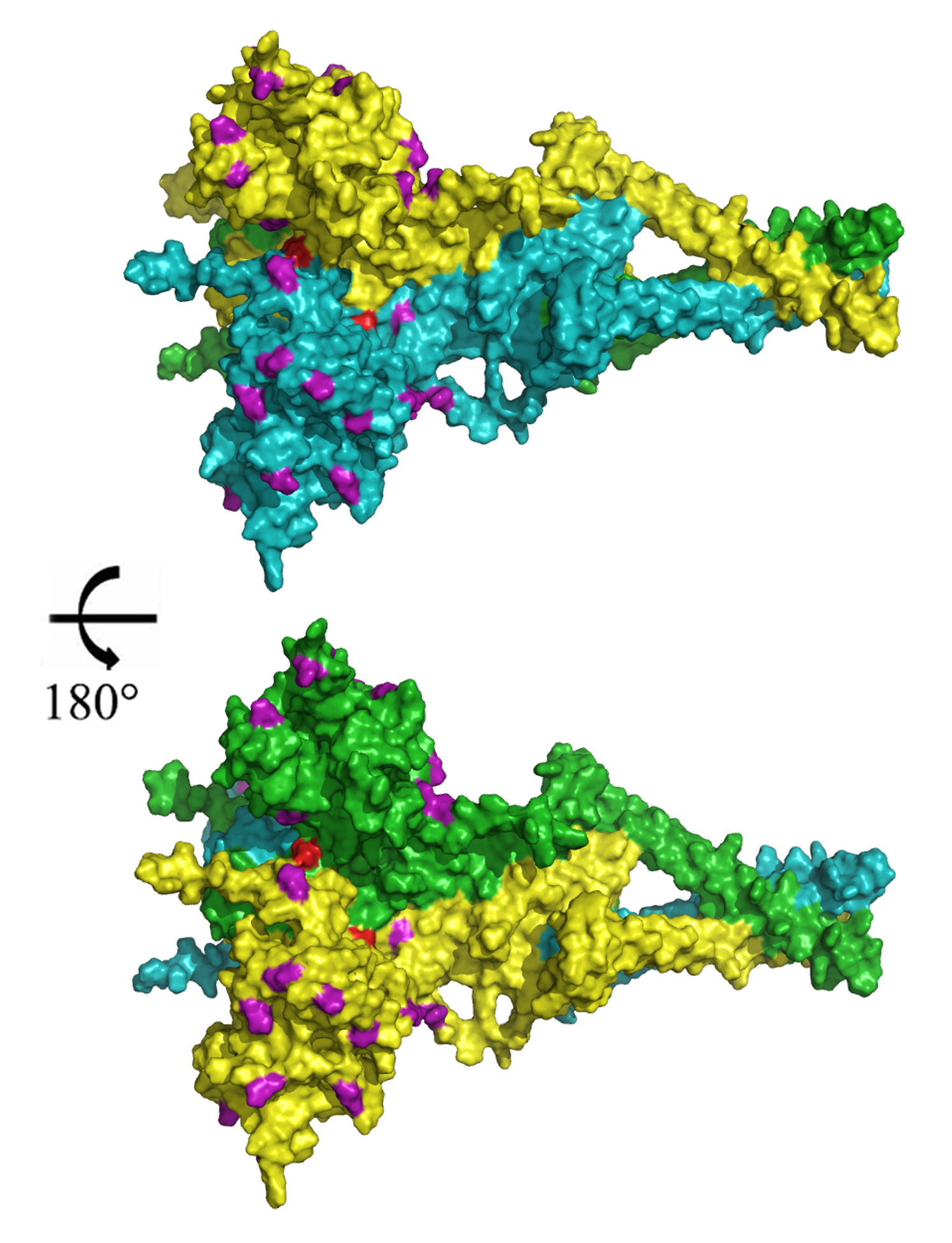 Figure 11