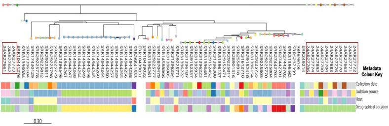 Figure 5
