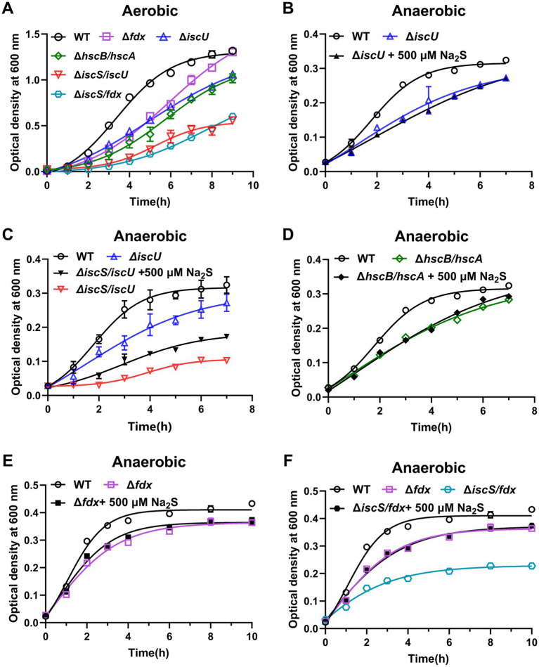 Figure 6