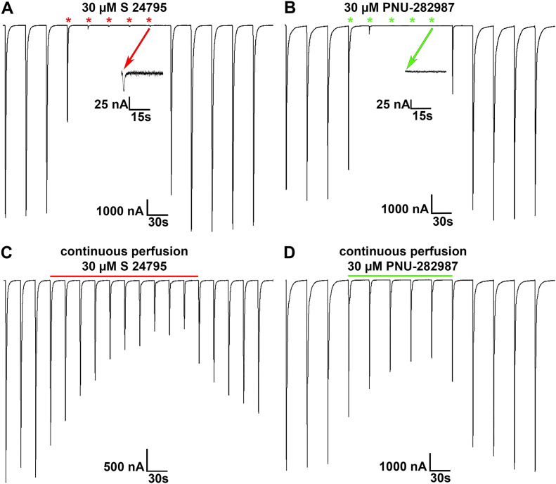 Figure 5