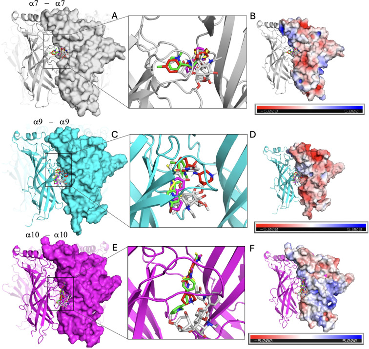 Figure 6