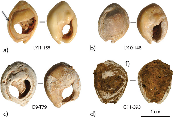 Fig 6