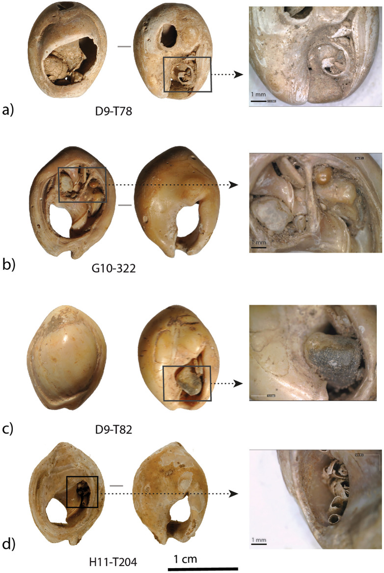 Fig 7