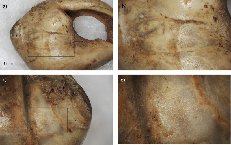 Fig 10