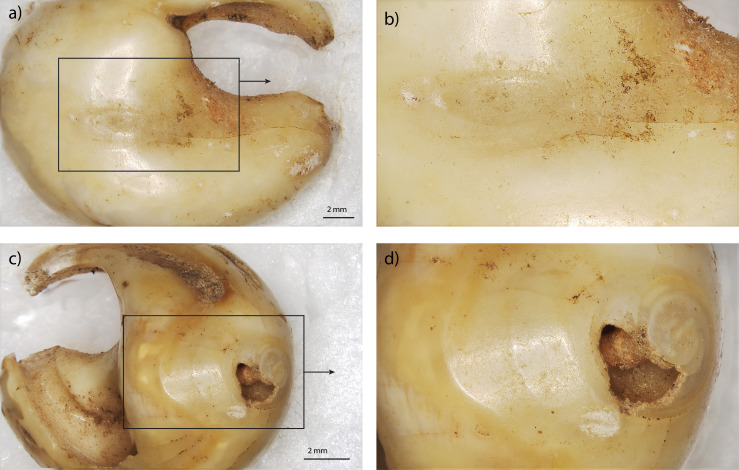 Fig 11