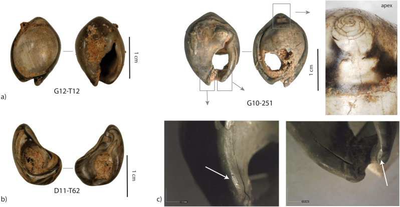 Fig 12