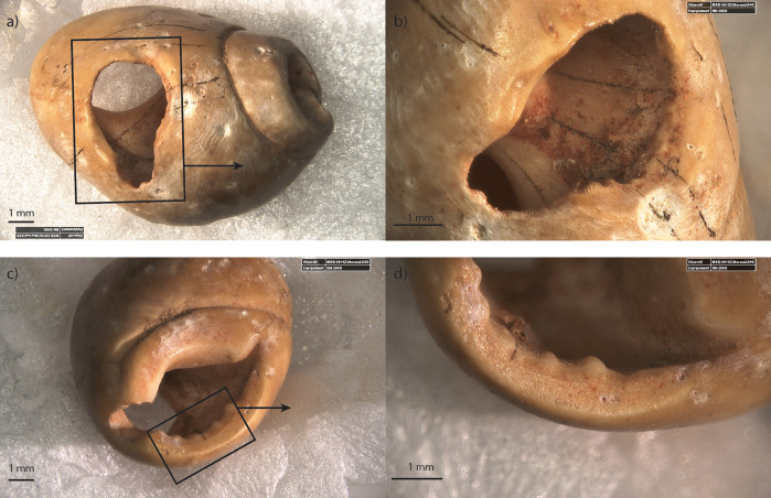 Fig 13