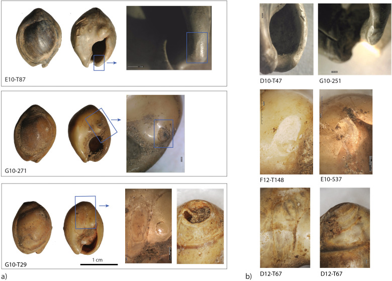 Fig 14
