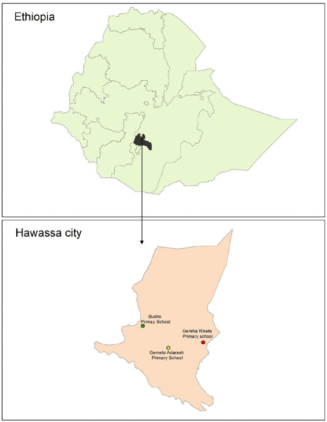 Fig 1