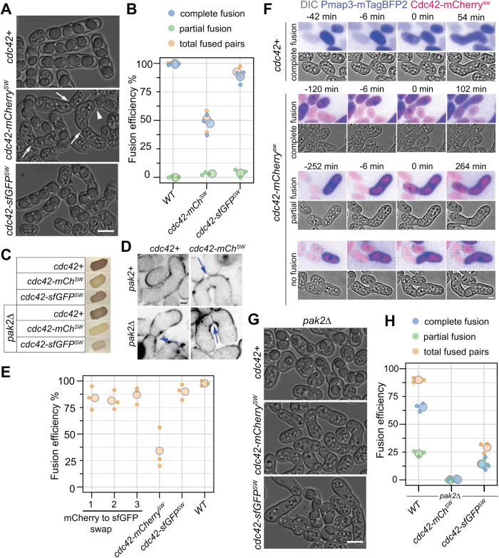 Fig 2