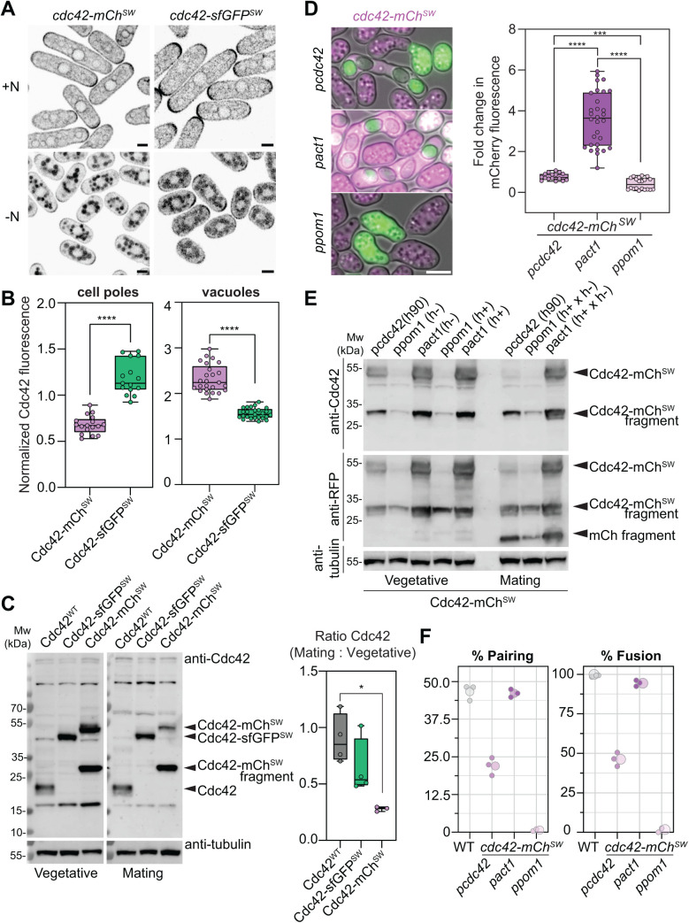 Fig 4