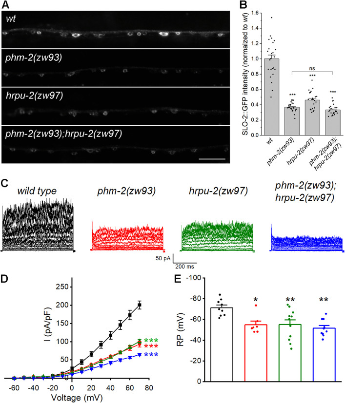 Fig 6