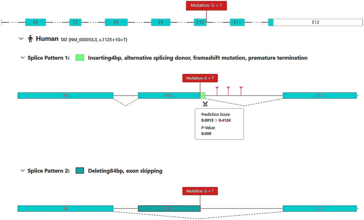 FIGURE 1