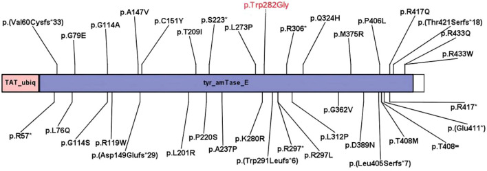 FIGURE 2