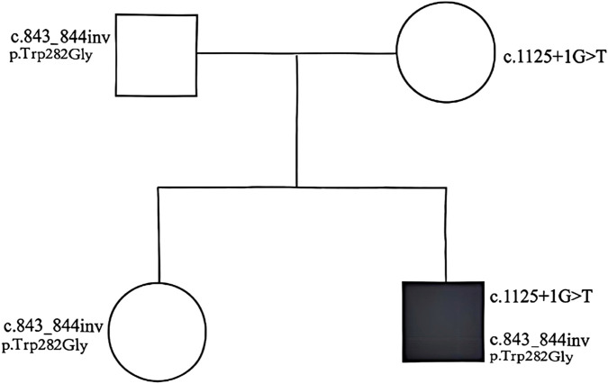 FIGURE 3