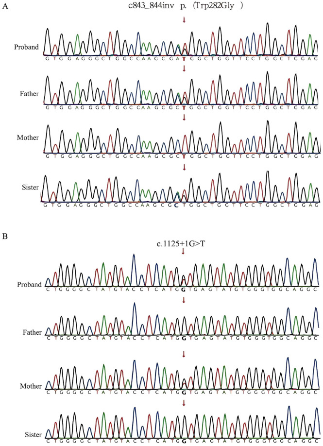FIGURE 4