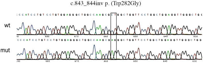 FIGURE 5
