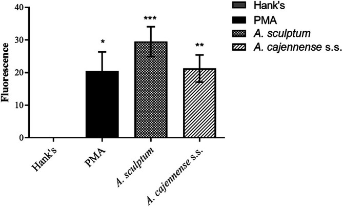 FIGURE 4