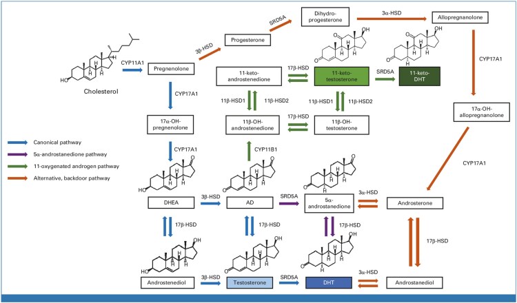 Figure 1