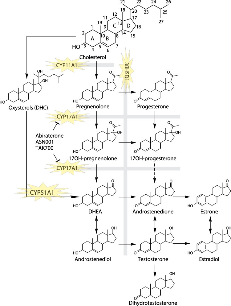 Figure 2