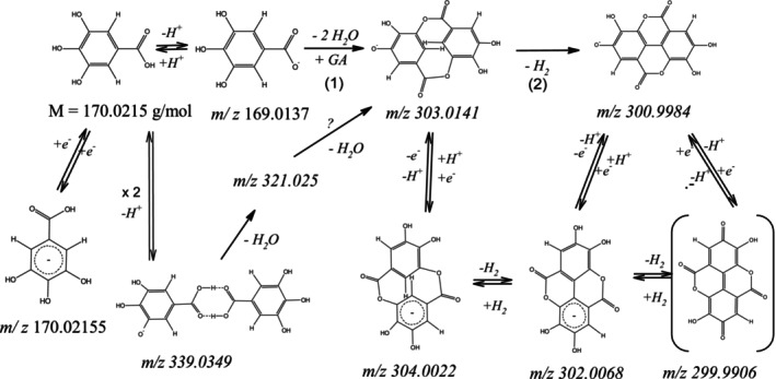 FIGURE 12