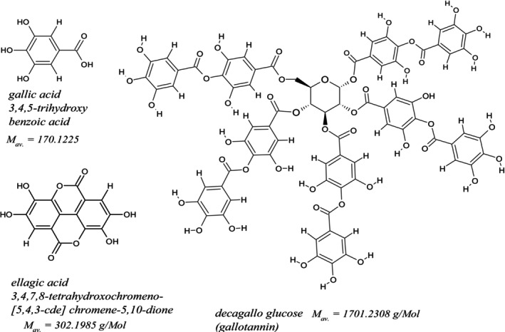 FIGURE 1